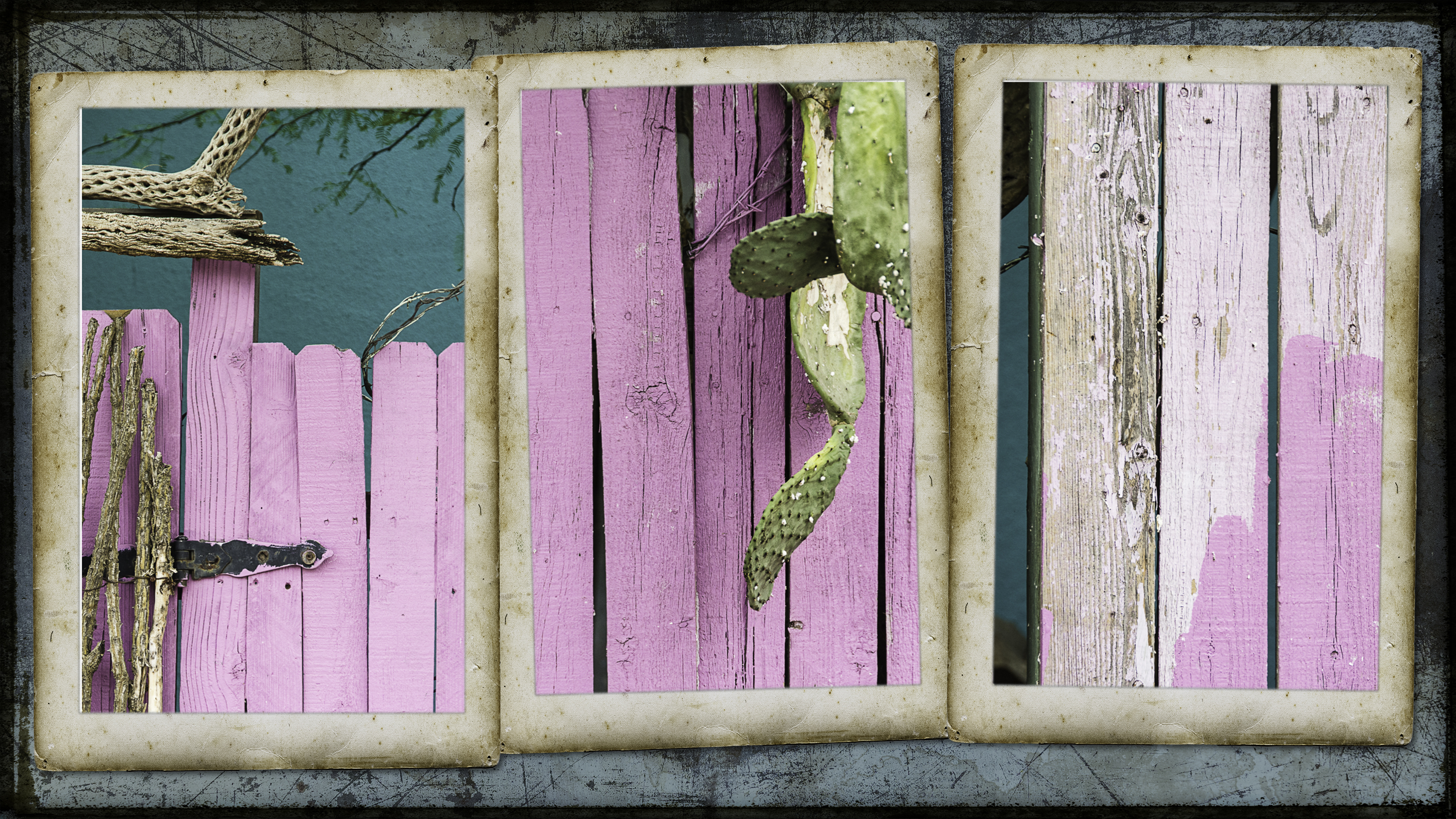 pink_triptych